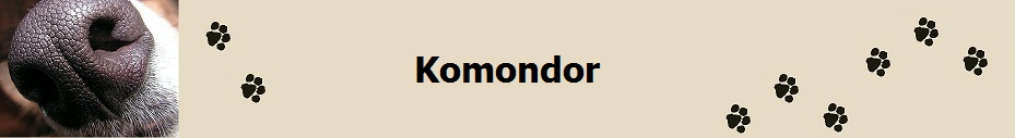 Komondor