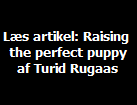 Læs artikel: Raising 
the perfect puppy
af Turid Rugaas
